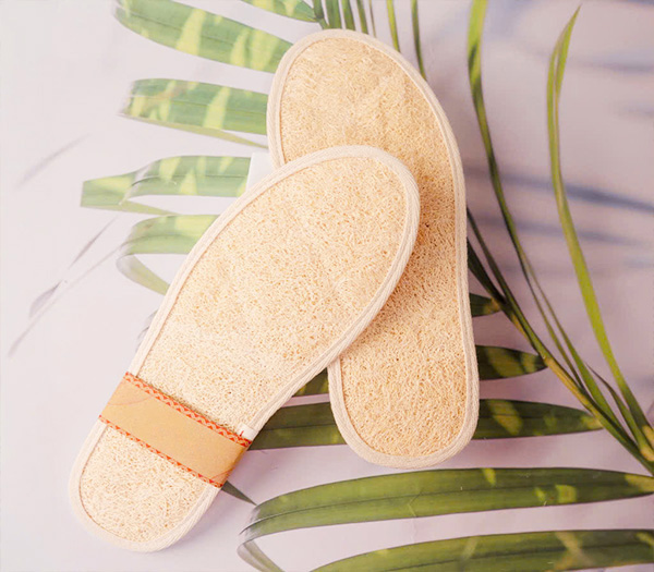 Lợi ích của việc dùng xơ mướp cho da
